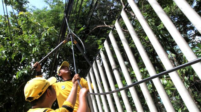 Petugas Bina Marga Jakarta Selatan melakukan penertiban jaringan kabel utilitas yang semrawut di kawasan Warung Jati Barat, Jakarta Selatan, Rabu (30/1).[Suara.com/Fakhri Hermansyah]
