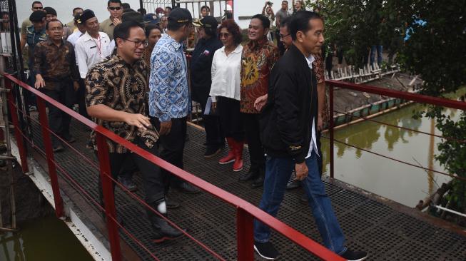 Presiden Joko Widodo (tengah) berjalan menuju lokasi panen raya udang di Muara Gembong, Bekasi, Jawa Barat, Rabu (30/1). [ANTARA FOTO/Akbar Nugroho Gumay]
