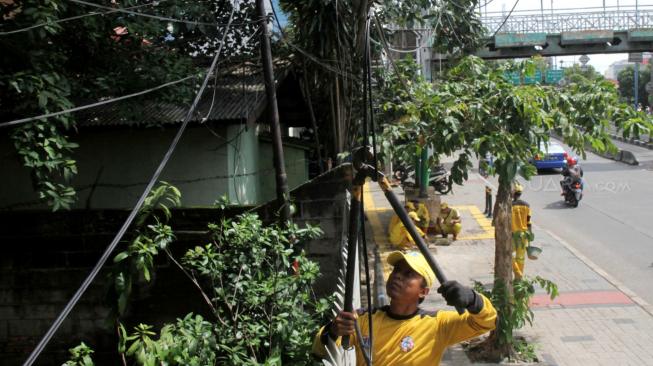 Petugas Bina Marga Jakarta Selatan melakukan penertiban jaringan kabel utilitas yang semrawut di kawasan Warung Jati Barat, Jakarta Selatan, Rabu (30/1).[Suara.com/Fakhri Hermansyah]

