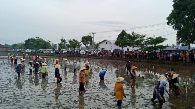 Distanbun Jateng Tanggung 100% Asuransi Lahan Petani Miskin