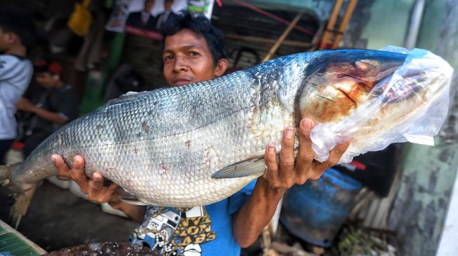 Warga membeli ikan bandeng di Pasar Rawa Belong, Jakarta, Minggu (3/1). [Suara.com/Muhaimin A Untung]