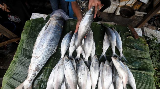 Warga membeli ikan bandeng di Pasar Rawa Belong, Jakarta, Minggu (3/1). [Suara.com/Muhaimin A Untung]