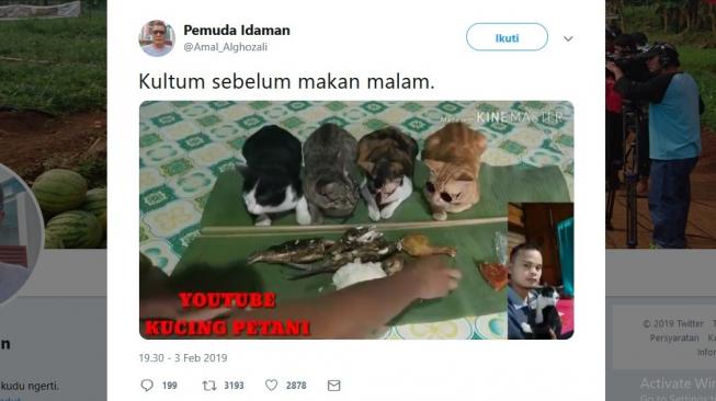 Menggemaskan, Aksi Kucing Ini Saat Mendengar Ceramah sebelum Makan