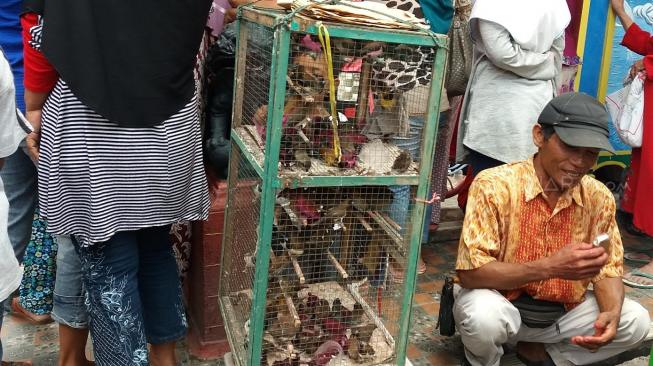 Pedagang Burung  Pipit  Dapat Berkah di Tahun Baru Imlek