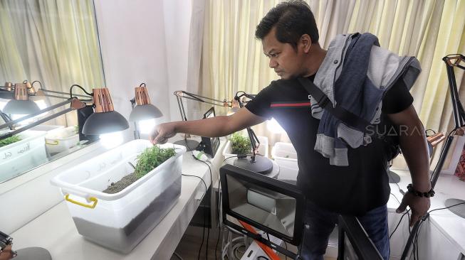 Tersangka dan sejumlah barang bukti diperlihatkan saat rilis pengungkapan penanaman ganja di salah satu Apartemen di Jakarta, Rabu (6/2). [Suara.com/Muhaimin A Untung]