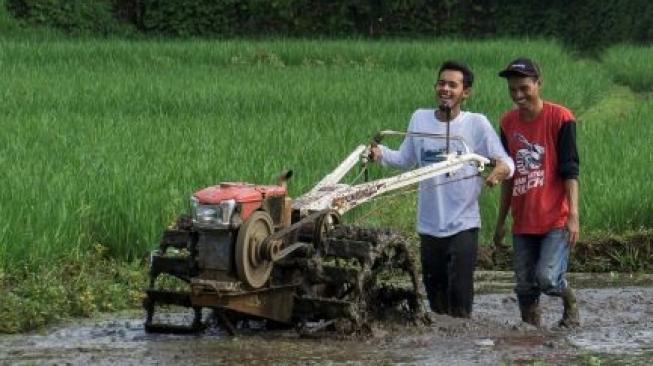 Program Modernisasi Kementan Jadi Upaya Tingkatkan Ketahanan Pangan