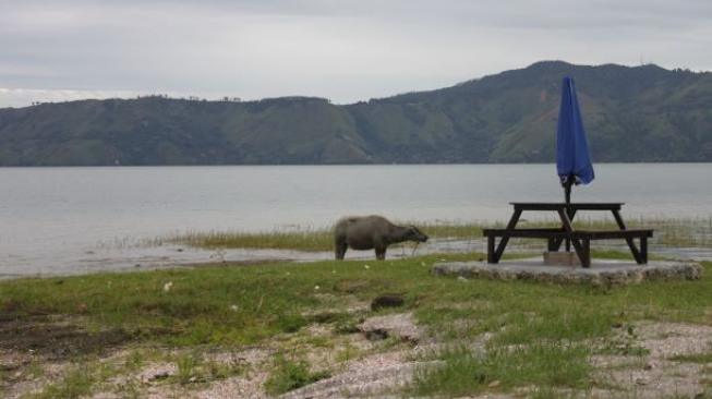 Pemandangan Pantai Hudo yang cocok untuk piknik keluarga. (Suara.com/Silfa Humairah)