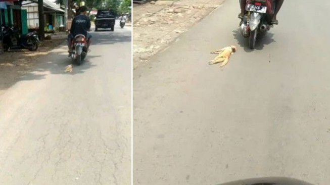 Tak Punya Hati! Video Orang Seret Kucing dengan Motor Bikin Naik Pitam