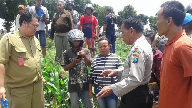 Ternyata Selama Ini Hilang, Mbah Surip Ditemukan Tewas di Sawah