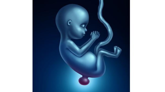 Bayi Belum Lahir Berisiko Tertular Virus Corona Sejak 2 Minggu Kehamilan