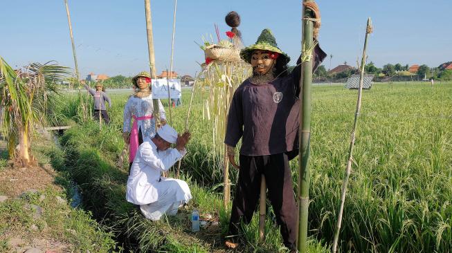 Warga melakukan persembahyangan di dekat "lelakut" atau orang-orangan sawah yang dilombakan dalam serangkaian HUT Kota Denpasar ke-231 di Desa Sanur, Denpasar, Bali, Jumat (15/2). [ANTARA FOTO/Nyoman Hendra Wibowo]