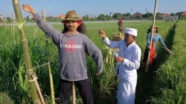 Warga melakukan persembahyangan di dekat "lelakut" atau orang-orangan sawah yang dilombakan dalam serangkaian HUT Kota Denpasar ke-231 di Desa Sanur, Denpasar, Bali, Jumat (15/2). [ANTARA FOTO/Nyoman Hendra Wibowo]