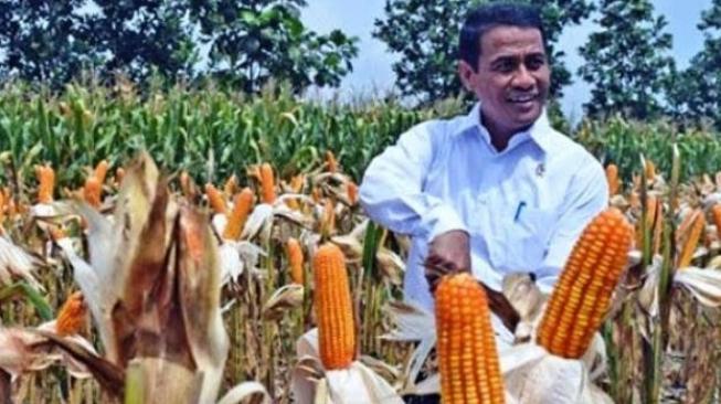 Mentan Saksikan Panen Jagung Melimpah di Tuban