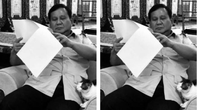 Gerindra Bikin Lomba Senam dan Kucing Mirip Bobby Peliharaan Prabowo