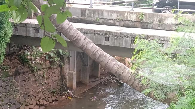 Anas Gantung Diri di Kolong Jembatan, Warga: Orang-orang Tak Ada yang Kenal