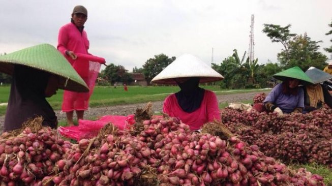 Pantau Program Bantuan untuk Petani, Kementan Pakai SiManis dan MPO