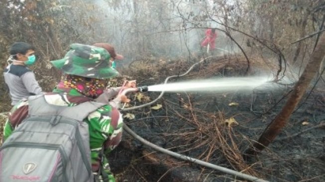 50 Hektar Lahan Terbakar Di Rupat Dalam Upaya Pendinginan