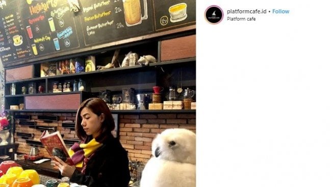 Tak Perlu ke Luar Negeri, di Pontianak Juga Ada Kafe Bernuansa Harry Potter