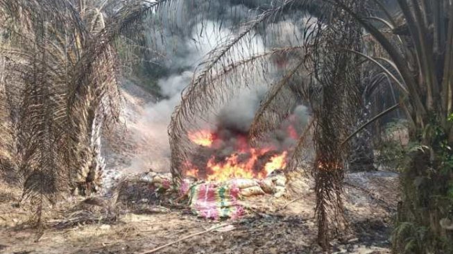 Ini Penyebab Terbakarnya Sumur Minyak Ilegal di Wilayah WKP