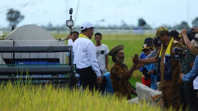 Menteri Pertanian (Mentan) Andi Amran Sulaiman, panen padi. (Dok: Kementan)