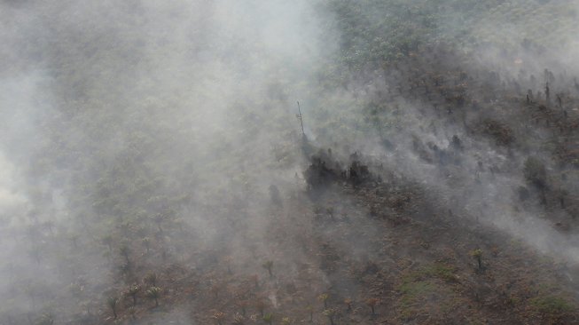 Kebakaran hutan dan lahan melanda perkebunan sawit rakyat di sejumlah titik di Desa Bukit Kerikil Bengkalis dan Desa Gurun Panjang di Dumai, Dumai Riau, Senin (25/2). [ANTARA FOTO/Aswaddy Hamid]