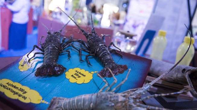 Pengunjung melihat maket budidaya ikan saat pameran Festival Membumikan Laut sebagai masa depan bangsa di Unpad, Bandung, Jawa Barat, Selasa (26/2). [ANTARA FOTO/M Agung Rajasa]
