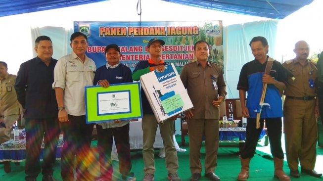 Kementan Dongkrak Produksi Jagung, Panen di Jatim Melimpah