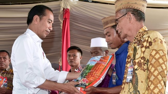 Jokowi: Permintaan Jagung Masih Banyak