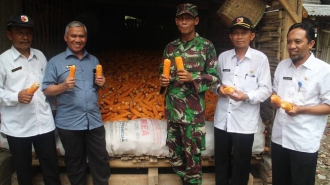 Panen raya jagung di Dusun Sumberurip, Desa Barurejo, Kecamatan Siliragung, Banyuwangi, Jawa Timur, Rabu (27/2/2019). (Dok: Kementan)