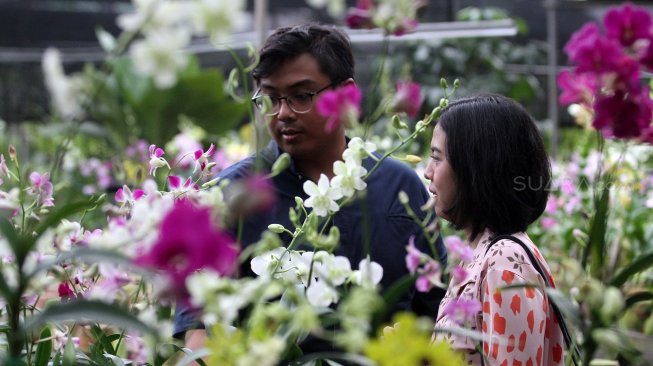 Pengunjung mengamati Anggrek (Orchidaceacea) hasil budidaya di Taman Anggrek Ragunan, Jakarta Selatan, Sabtu (2/3). [Suara.com/Arief Hermawan P]