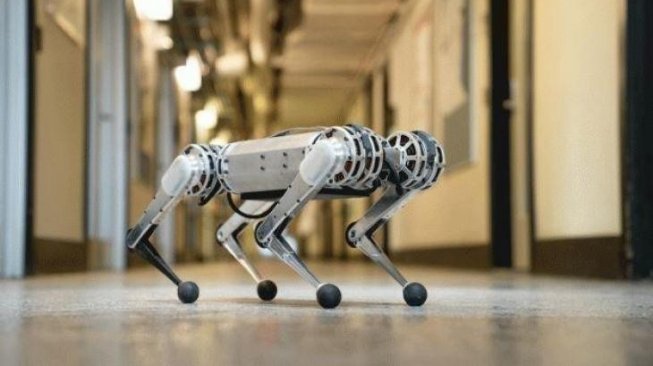 Bisa Salto, Ini Robot Mini Cheetah yang Dikembangkan Ilmuwan MIT