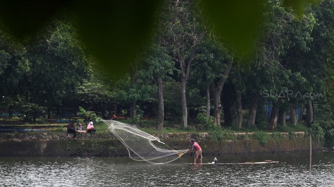 Nelayan menjaring ikan di Setu Cikaret, Cibinong, Kabupaten Bogor, Jawa Barat, Kamis (7/3). [Suara.com/Arief Hermawan P]