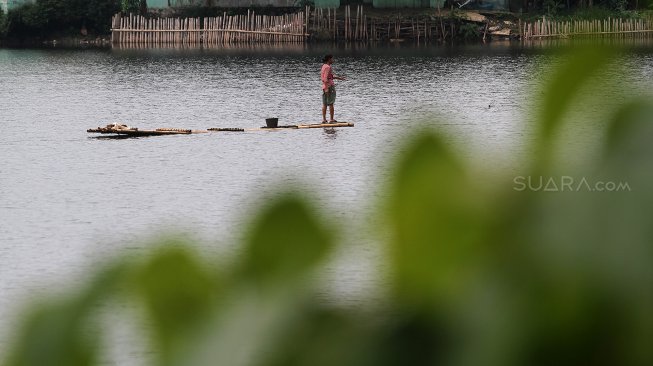 Nelayan menjaring ikan di Setu Cikaret, Cibinong, Kabupaten Bogor, Jawa Barat, Kamis (7/3). [Suara.com/Arief Hermawan P]