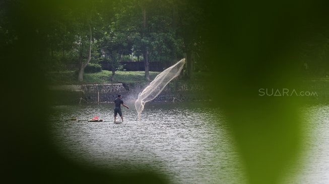  Nelayan menjaring ikan di Setu Cikaret, Cibinong, Kabupaten Bogor, Jawa Barat, Kamis (7/3). [Suara.com/Arief Hermawan P]