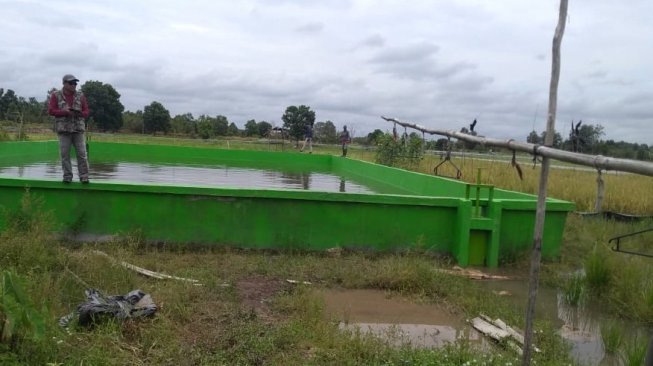 Petani Terdampak Banjir di Tuban Dapat Ganti Rugi dari Asuransi