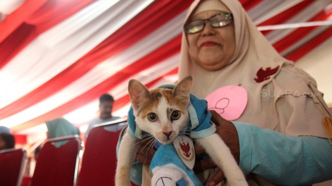 Sejumlah kucing tampil dalam peragaan busana di kantor DPP Partai Gerindra, Jakarta, Sabtu (9/3). [Suara.com/Arief Hermawan P]