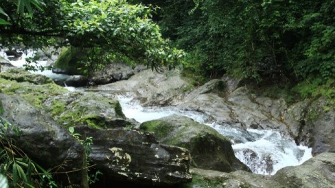 Sungai indah di Hutan Petungkriyono, merupakan wisata alam yang ada di Pekalongan. (Shutterstock)