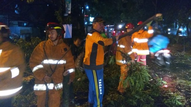 Pohon Tumbang di Depok Telan Korban Jiwa, Koki Restoran Tewas saat Memasak