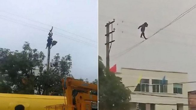 Lagi Mabuk Berat, Pria Ini Berjalan di Atas Kabel Listrik. Halu?