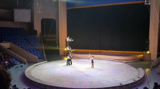 Pyongyang Circus, atraksi hiburan sirkus dari Korea Utara. (Guideku/Google Maps)