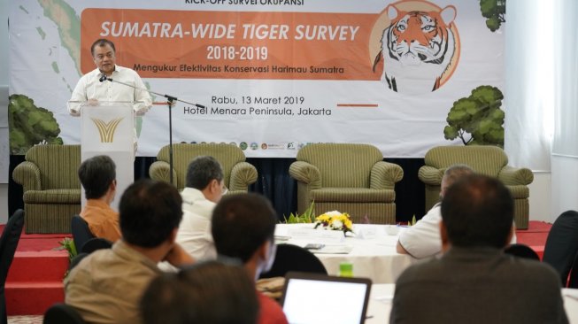 KLHK Komitmen Tingkatkan Populasi Harimau Sumatera 2 Kali Lipat