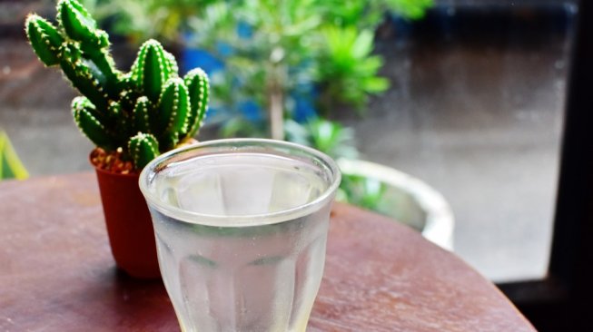 Rendah Kalori, Minuman Air Kaktus Jadi Tren Kesehatan Baru