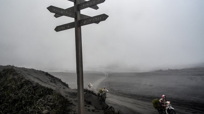 Papan petunjuk arah tertutup abu vulkanik yang keluar dari kawah Gunung Bromo di Probolinggo, Jawa Timur, Selasa (19/3). [ANTARA FOTO/Umarul Faruq]