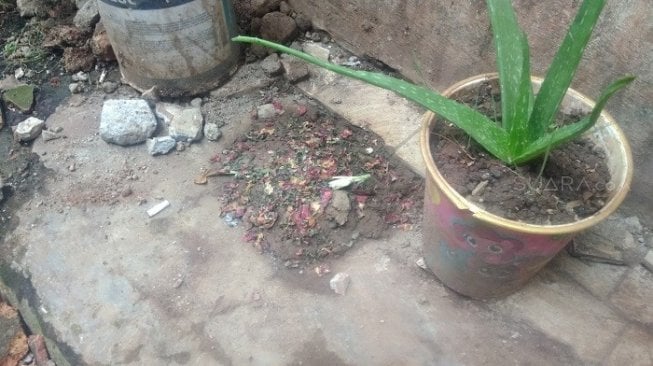 Korban Keberingasan Geng, Tangan Kanan Remaja Ini Dikubur di Depan Rumah