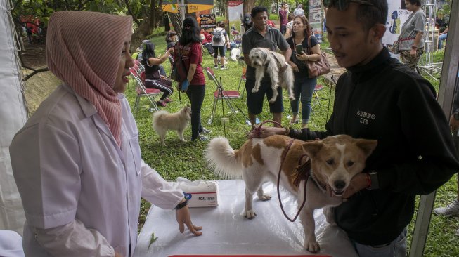 Warga berkonsultasi dengan dokter untuk kesehatan hewan piaraan saat Kegiatan kegiatan vaksin Pet Healthy Day di Pet Park Bandung, Jawa Barat, Minggu (24/3). ANTARA FOTO/Novrian Arbi