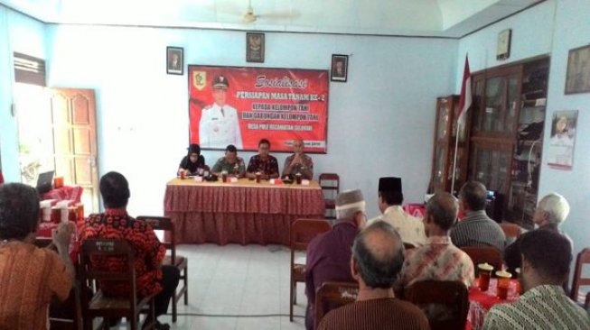 Tanaman Padi di Pule Wonogiri Terserang Blas