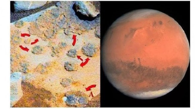 Tumbuhan Ditemukan di Mars?, NASA: Mungkin Kehidupan Alien