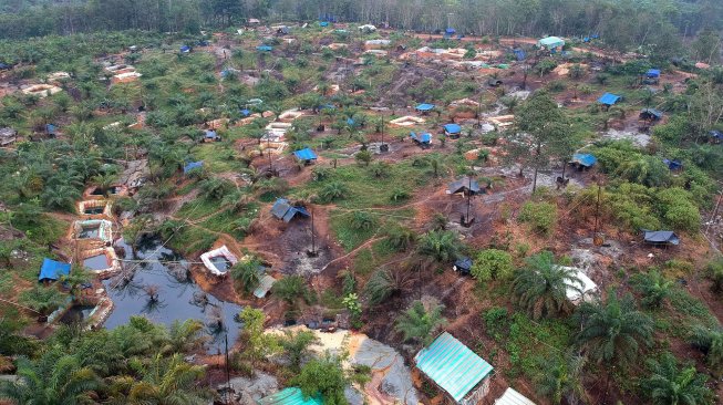 Foto udara Taman Hutan Raya (Tahura) Sultan Thaha Syaifuddin yang telah beralih fungsi dan dipenuhi kolam penampungan minyak dari aktivitas pengeboran minyak ilegal di Bajubang, Batanghari, Jambi, Senin (25/3). [ANTARA FOTO/Wahdi Septiawan]