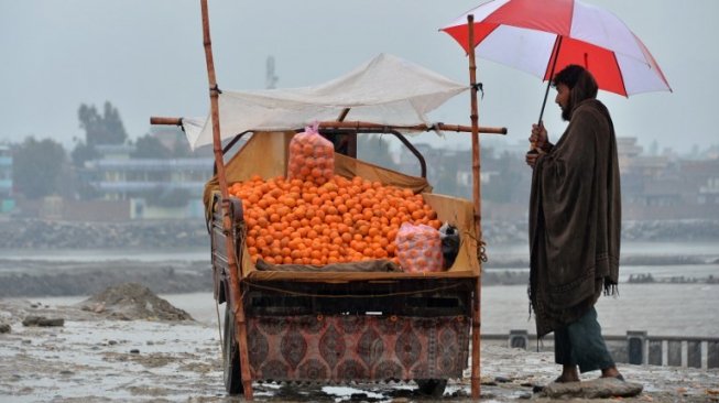 Diterjang Kemarau dan Banjir, Afghanistan Terancam Krisis Panen