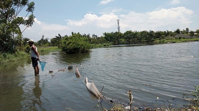 Kuburan tanpa nama di Tempat Pemakaman Umum (TPU) Tegal Alur, Jakarta Barat. (Suara.com/Fakhri)